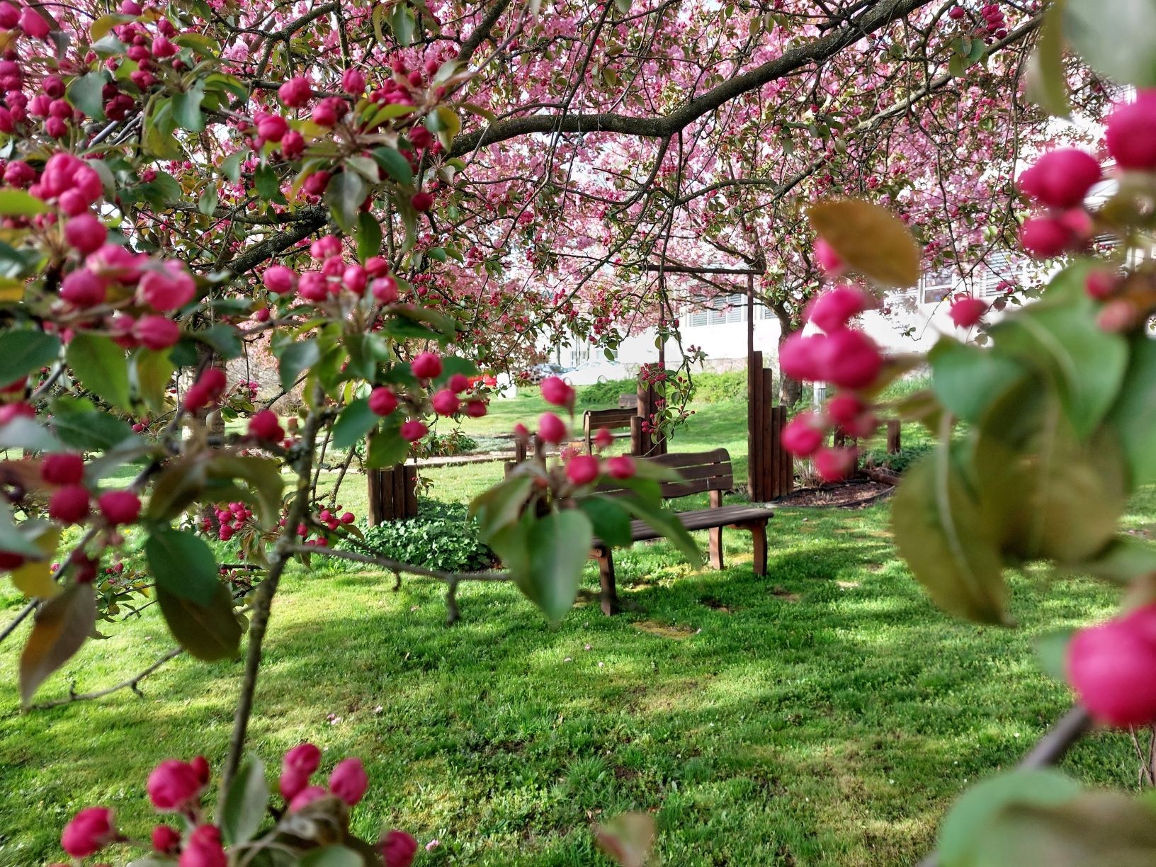 I STONAT SE DÁ S ÚSMĚVEM aneb duben na dětském oddělení